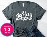 Stay Paw Sitive